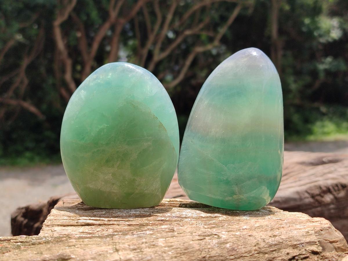Polished Green Fluorite Standing Free Forms x 3 From Madagascar