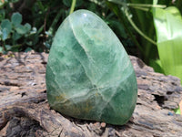 Polished Green Fluorite Standing Free Forms x 3 From Madagascar