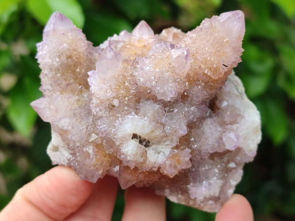 Natural Amethyst and Ametrine Spirit Clusters x 6 From Boekenhouthoek, South Africa
