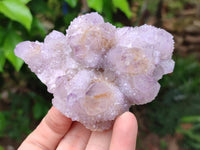 Natural Amethyst and Ametrine Spirit Clusters x 6 From Boekenhouthoek, South Africa