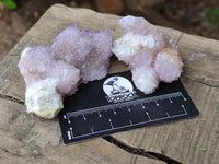 Natural Amethyst and Ametrine Spirit Clusters x 6 From Boekenhouthoek, South Africa