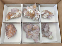 Natural Amethyst and Ametrine Spirit Clusters x 6 From Boekenhouthoek, South Africa