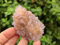 Natural Amethyst and Ametrine Spirit Clusters x 6 From Boekenhouthoek, South Africa