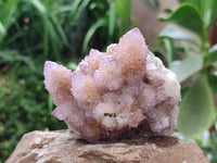 Natural Amethyst and Ametrine Spirit Clusters x 6 From Boekenhouthoek, South Africa