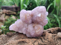 Natural Amethyst and Ametrine Spirit Clusters x 6 From Boekenhouthoek, South Africa