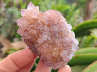 Natural Amethyst and Ametrine Spirit Clusters x 6 From Boekenhouthoek, South Africa