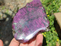 Polished On One Side Metallic Purpurite Specimens x 6 From Erongo, Namibia