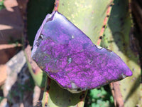 Polished On One Side Metallic Purpurite Specimens x 6 From Erongo, Namibia