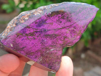 Polished On One Side Metallic Purpurite Specimens x 6 From Erongo, Namibia