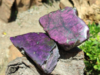 Polished On One Side Metallic Purpurite Specimens x 6 From Erongo, Namibia