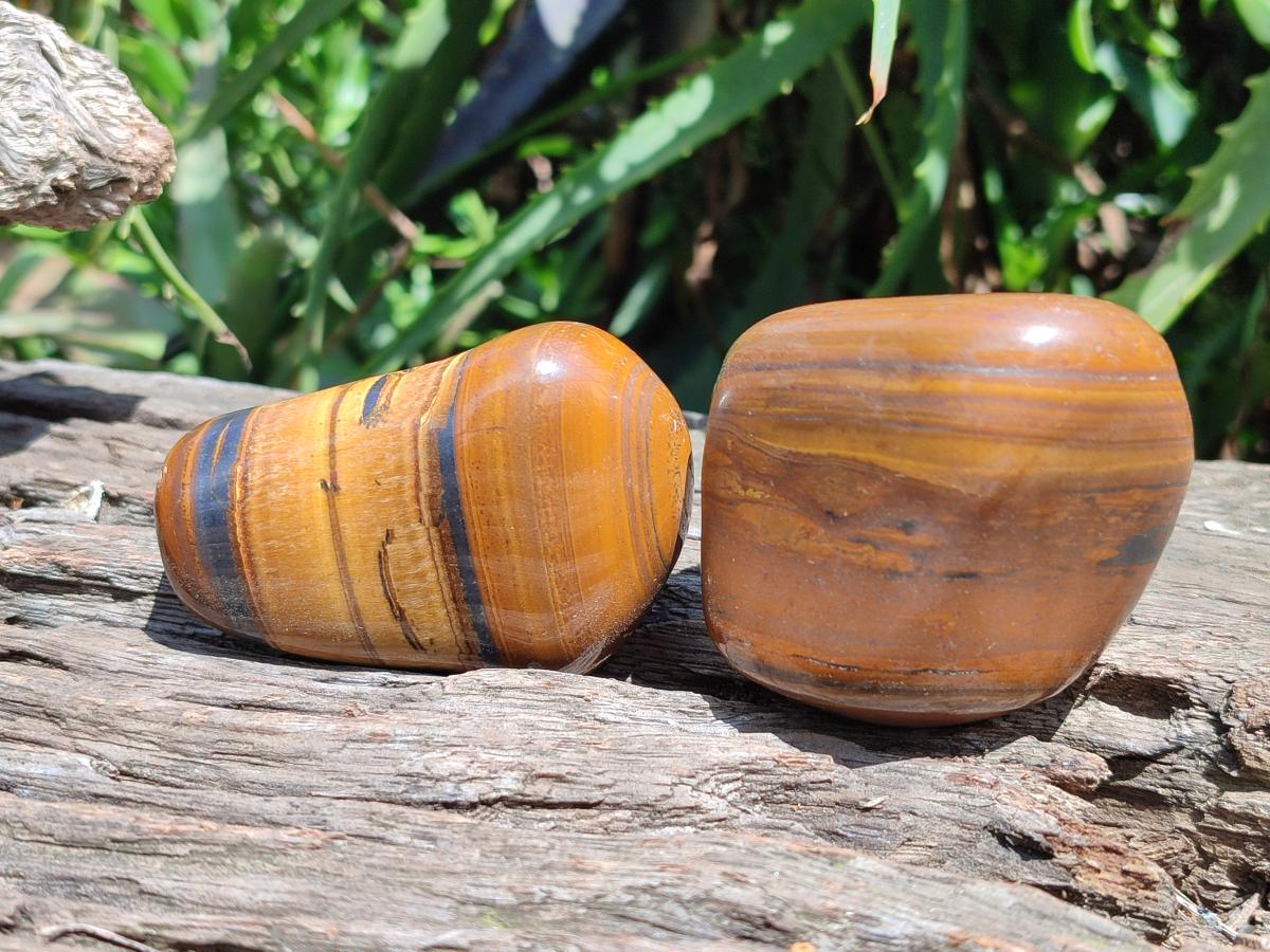 Polished Jumbo Golden Tigers Eye With Banded Iron Stone Free Forms x 6 From Prieska, South Africa