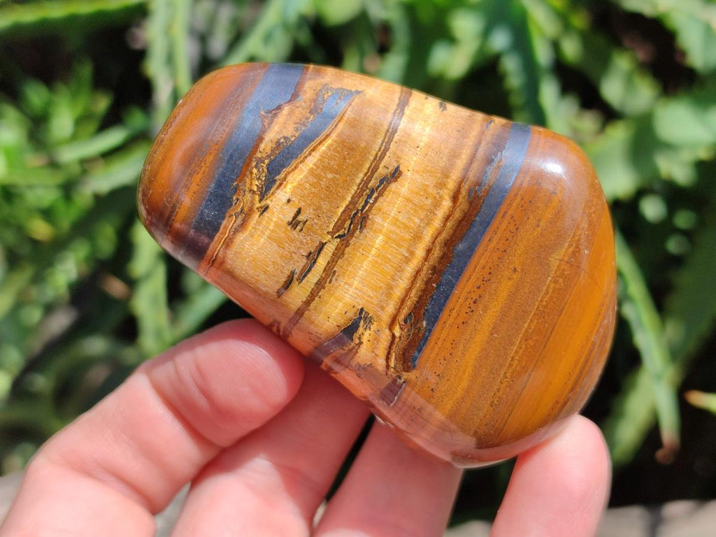 Polished Jumbo Golden Tigers Eye With Banded Iron Stone Free Forms x 6 From Prieska, South Africa
