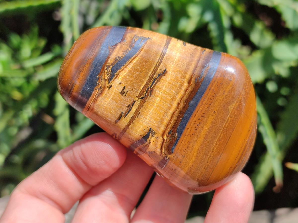 Polished Jumbo Golden Tigers Eye With Banded Iron Stone Free Forms x 6 From Prieska, South Africa