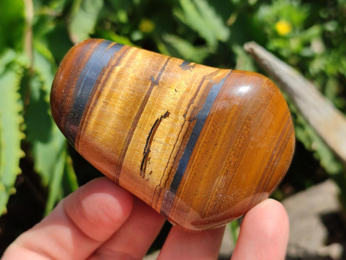 Polished Jumbo Golden Tigers Eye With Banded Iron Stone Free Forms x 6 From Prieska, South Africa