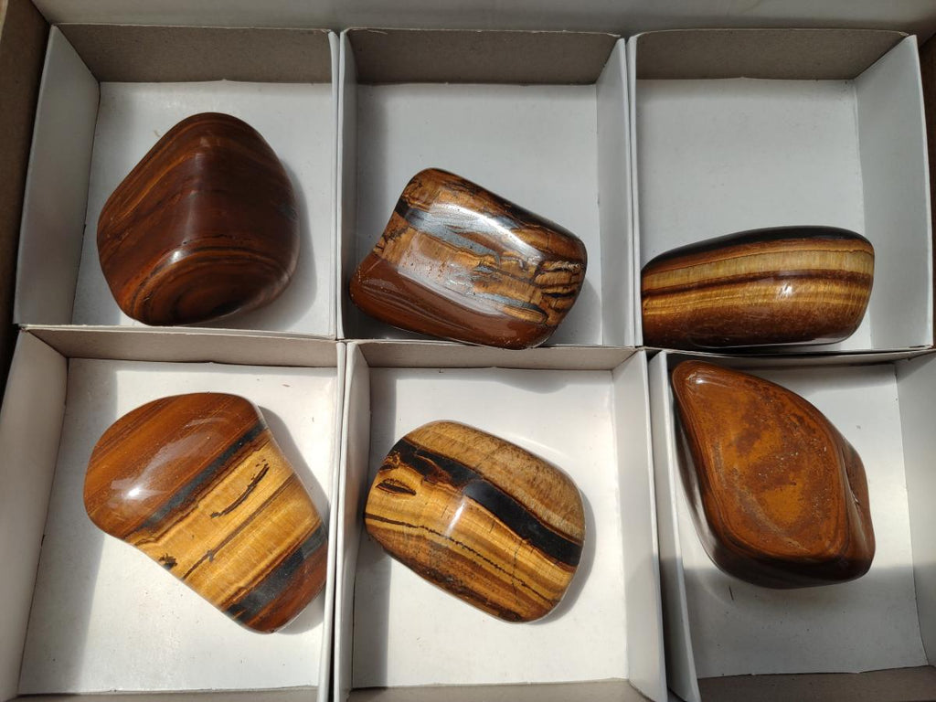 Polished Jumbo Golden Tigers Eye With Banded Iron Stone Free Forms x 6 From Prieska, South Africa