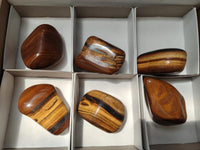 Polished Jumbo Golden Tigers Eye With Banded Iron Stone Free Forms x 6 From Prieska, South Africa