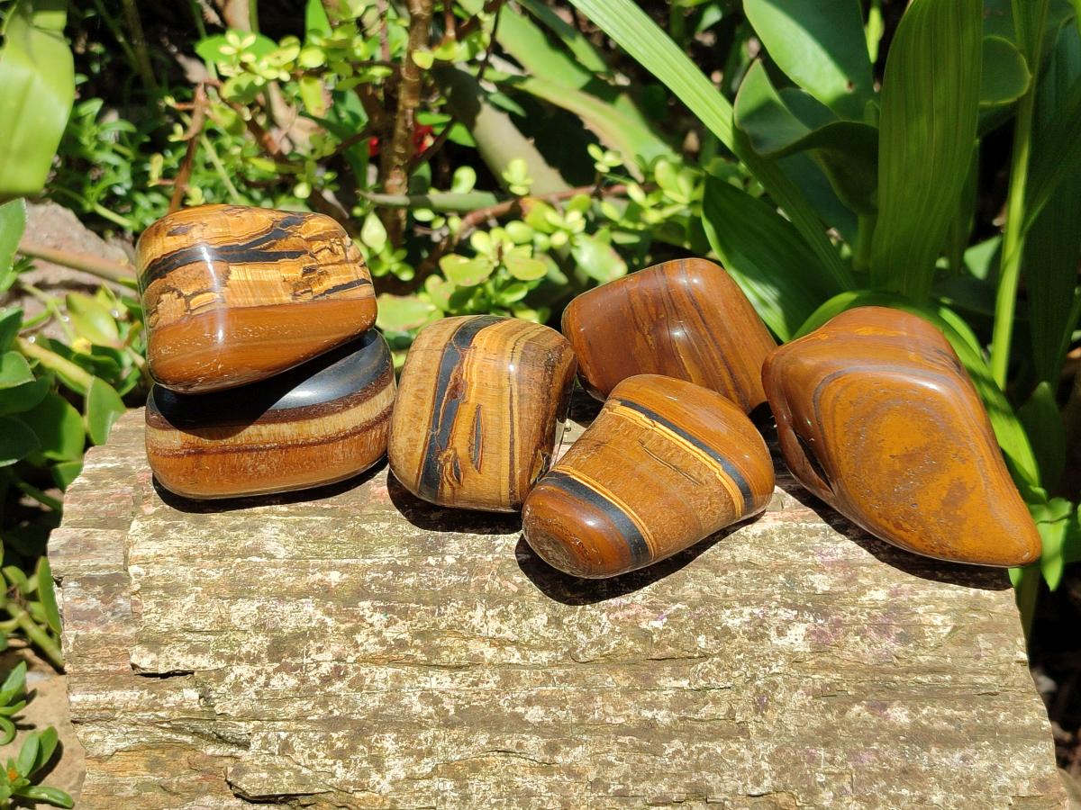Polished Jumbo Golden Tigers Eye With Banded Iron Stone Free Forms x 6 From Prieska, South Africa