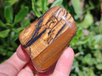 Polished Jumbo Golden Tigers Eye With Banded Iron Stone Free Forms x 6 From Prieska, South Africa