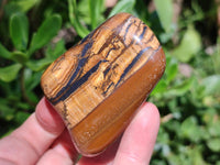Polished Jumbo Golden Tigers Eye With Banded Iron Stone Free Forms x 6 From Prieska, South Africa