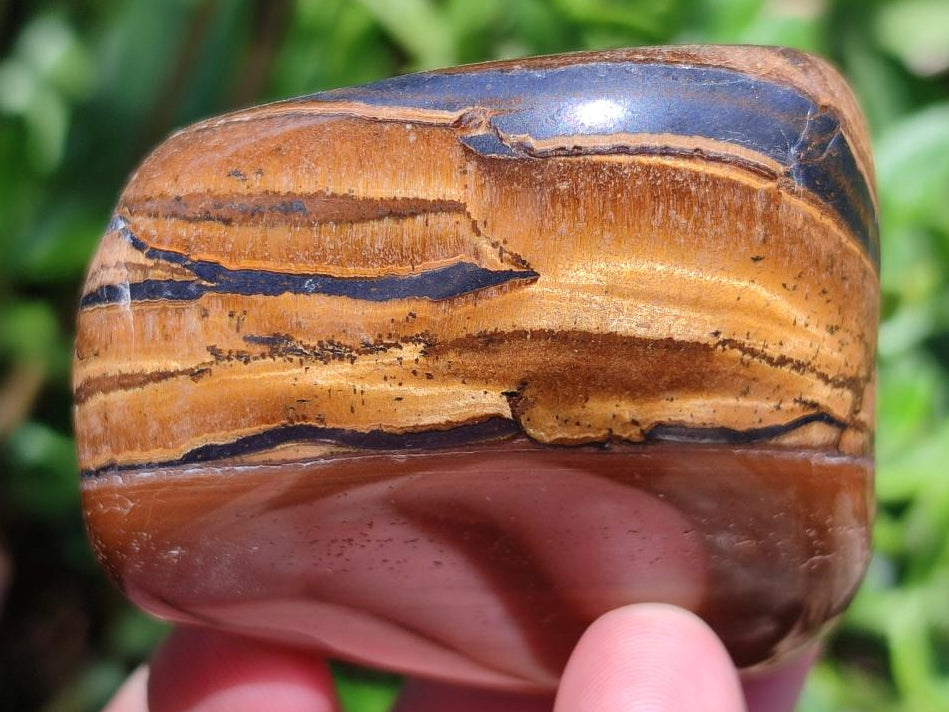 Polished Jumbo Golden Tigers Eye With Banded Iron Stone Free Forms x 6 From Prieska, South Africa