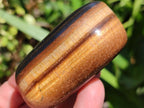 Polished Jumbo Golden Tigers Eye With Banded Iron Stone Free Forms x 6 From Prieska, South Africa