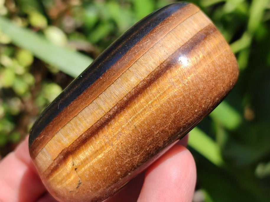 Polished Jumbo Golden Tigers Eye With Banded Iron Stone Free Forms x 6 From Prieska, South Africa