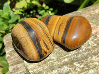 Polished Jumbo Golden Tigers Eye With Banded Iron Stone Free Forms x 6 From Prieska, South Africa