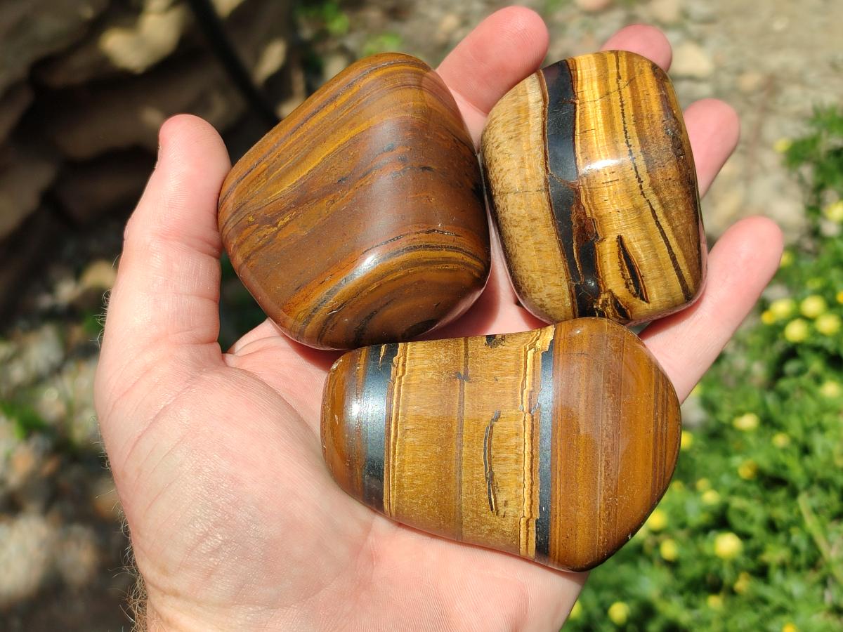 Polished Jumbo Golden Tigers Eye With Banded Iron Stone Free Forms x 6 From Prieska, South Africa