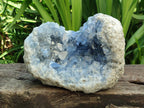 Natural Blue Celestite Specimen Geode x 1 From Sakoany, Madagascar - Toprock Gemstones and Minerals 