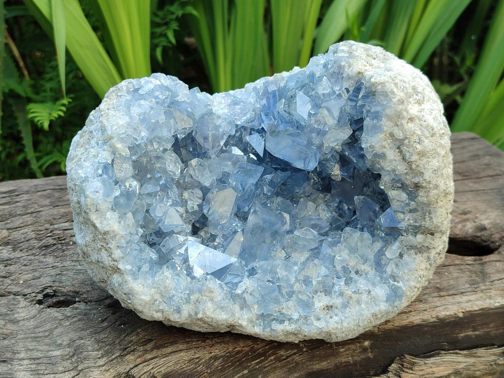 Natural Blue Celestite Specimen Geode x 1 From Sakoany, Madagascar - Toprock Gemstones and Minerals 