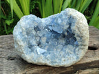 Natural Blue Celestite Specimen Geode x 1 From Sakoany, Madagascar - Toprock Gemstones and Minerals 