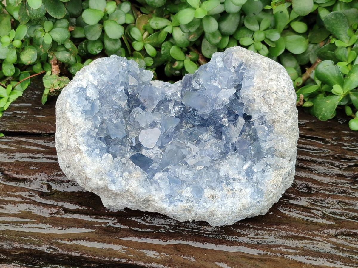 Natural Blue Celestite Specimen Geode x 1 From Sakoany, Madagascar