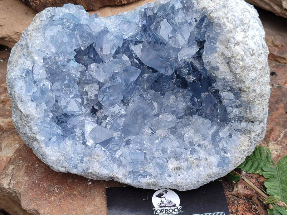 Natural Blue Celestite Specimen Geode x 1 From Sakoany, Madagascar - Toprock Gemstones and Minerals 