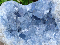 Natural Blue Celestite Specimen Geode x 1 From Sakoany, Madagascar