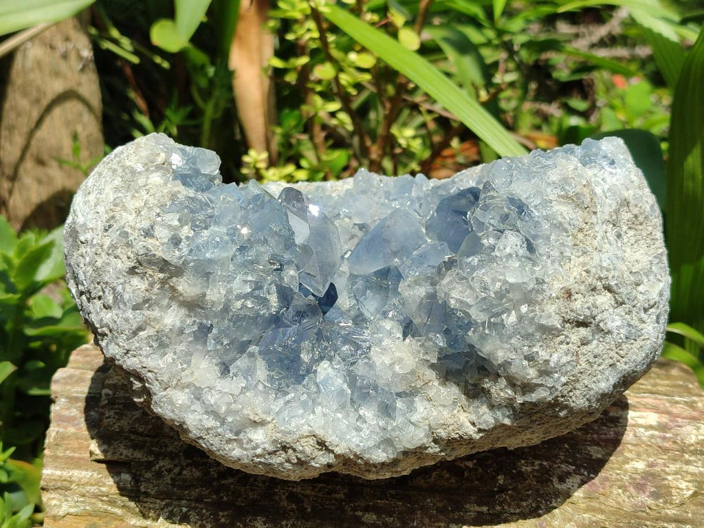 Natural Blue Celestite Specimen Geode x 1 From Sakoany, Madagascar - Toprock Gemstones and Minerals 