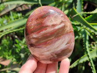 Polished Red Podocarpus Petrified Wood Standing Free Forms x 3 From Mahajanga, Madagascar