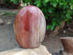 Polished Red Podocarpus Petrified Wood Standing Free Forms x 3 From Mahajanga, Madagascar