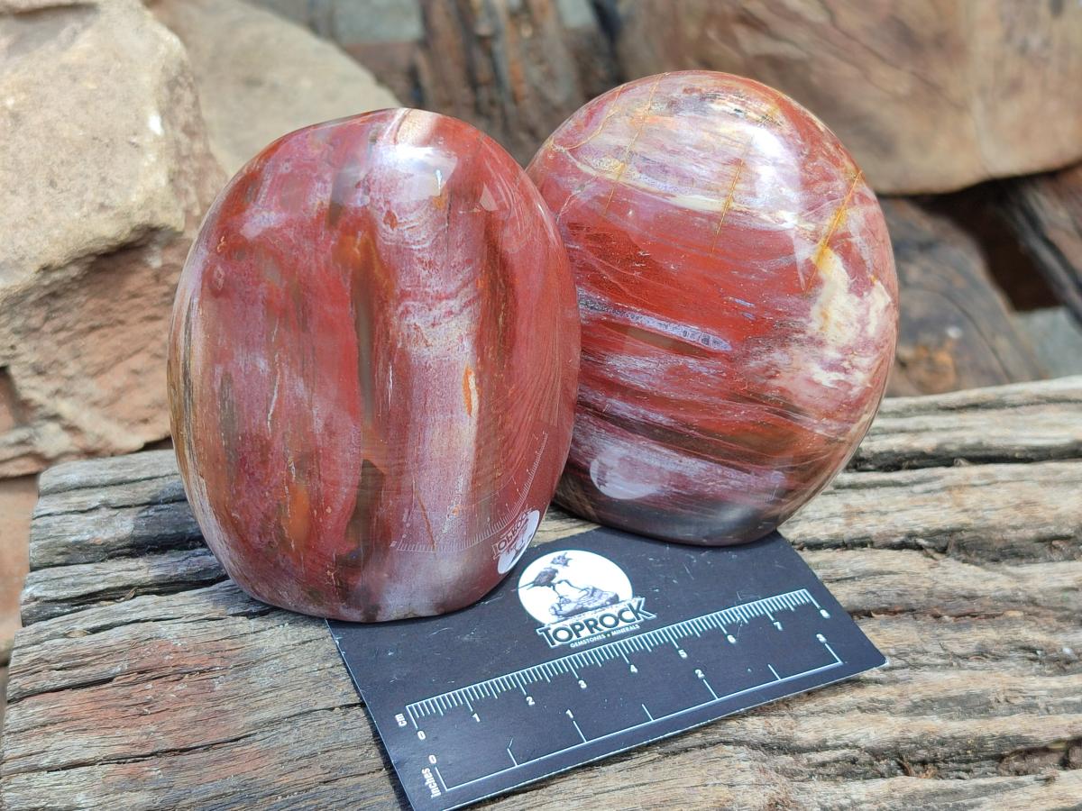 Polished Red Podocarpus Petrified Wood Standing Free Forms x 3 From Mahajanga, Madagascar