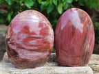 Polished Red Podocarpus Petrified Wood Standing Free Forms x 3 From Mahajanga, Madagascar