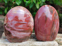 Polished Red Podocarpus Petrified Wood Standing Free Forms x 3 From Mahajanga, Madagascar