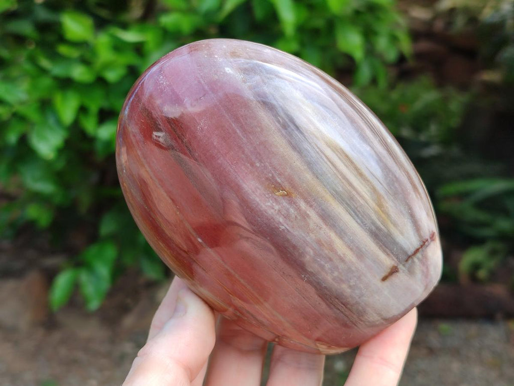 Polished Red Podocarpus Petrified Wood Standing Free Forms x 3 From Mahajanga, Madagascar