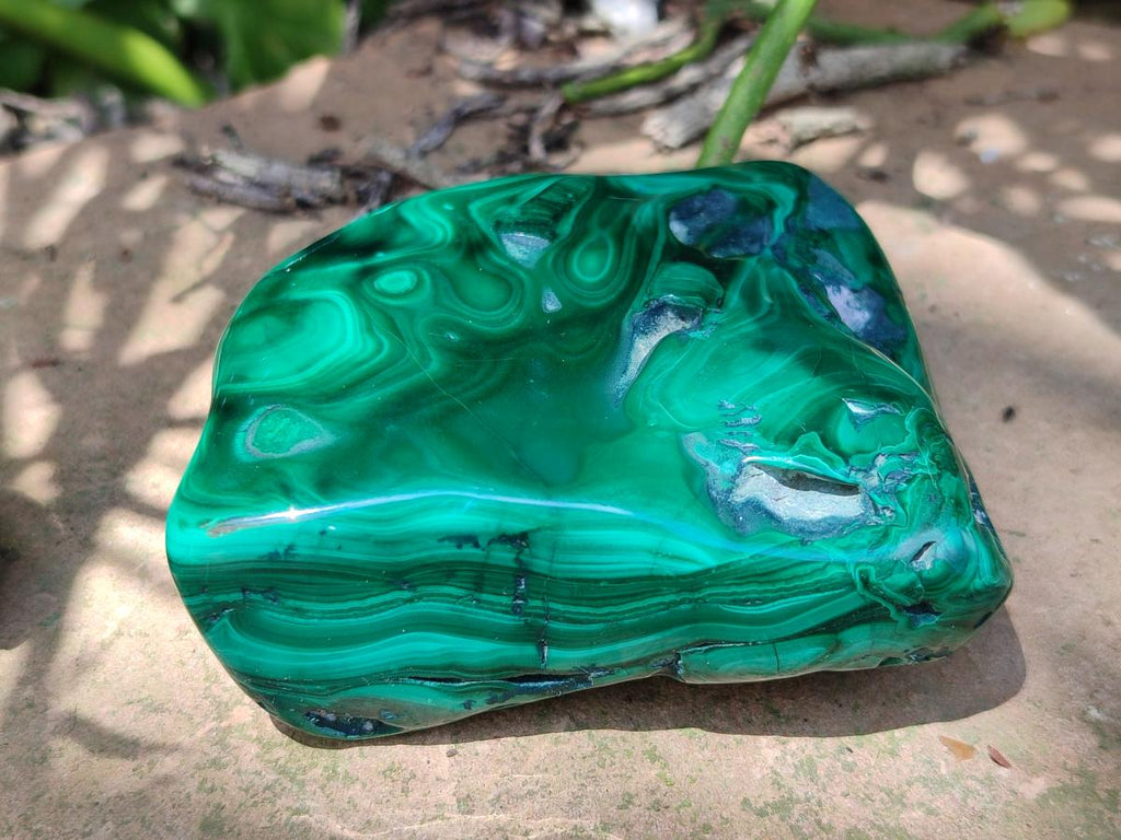 Polished Flower Banded Malachite Free Forms x 6 From Congo