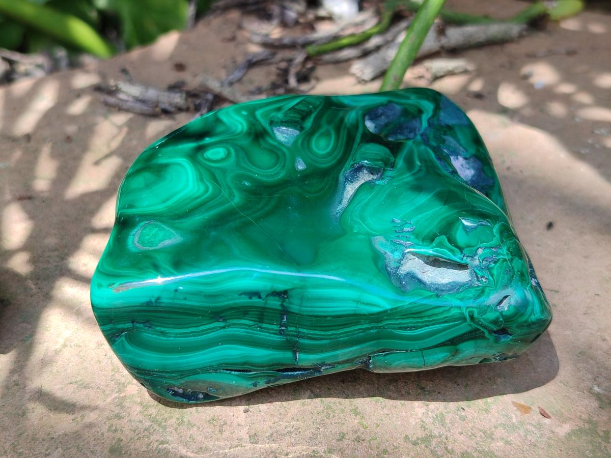 Polished Flower Banded Malachite Free Forms x 6 From Congo