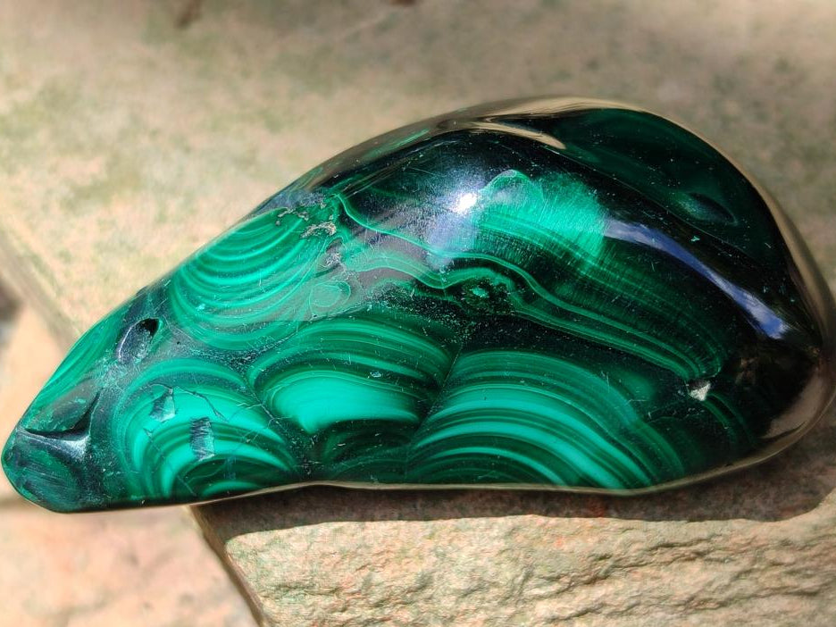 Polished Flower Banded Malachite Free Forms x 6 From Congo