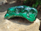 Polished Flower Banded Malachite Free Forms x 6 From Congo