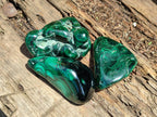 Polished Flower Banded Malachite Free Forms x 6 From Congo