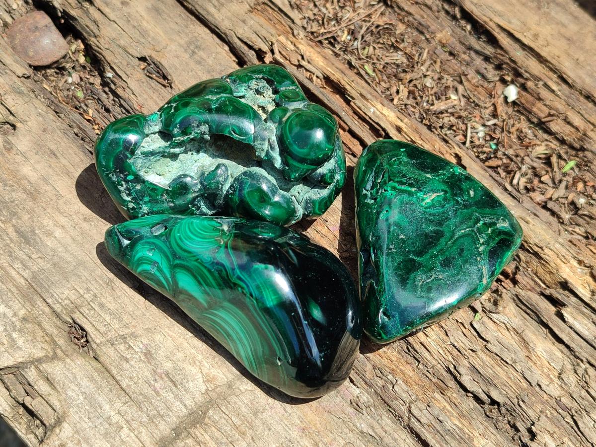 Polished Flower Banded Malachite Free Forms x 6 From Congo