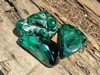 Polished Flower Banded Malachite Free Forms x 6 From Congo