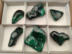 Polished Flower Banded Malachite Free Forms x 6 From Congo
