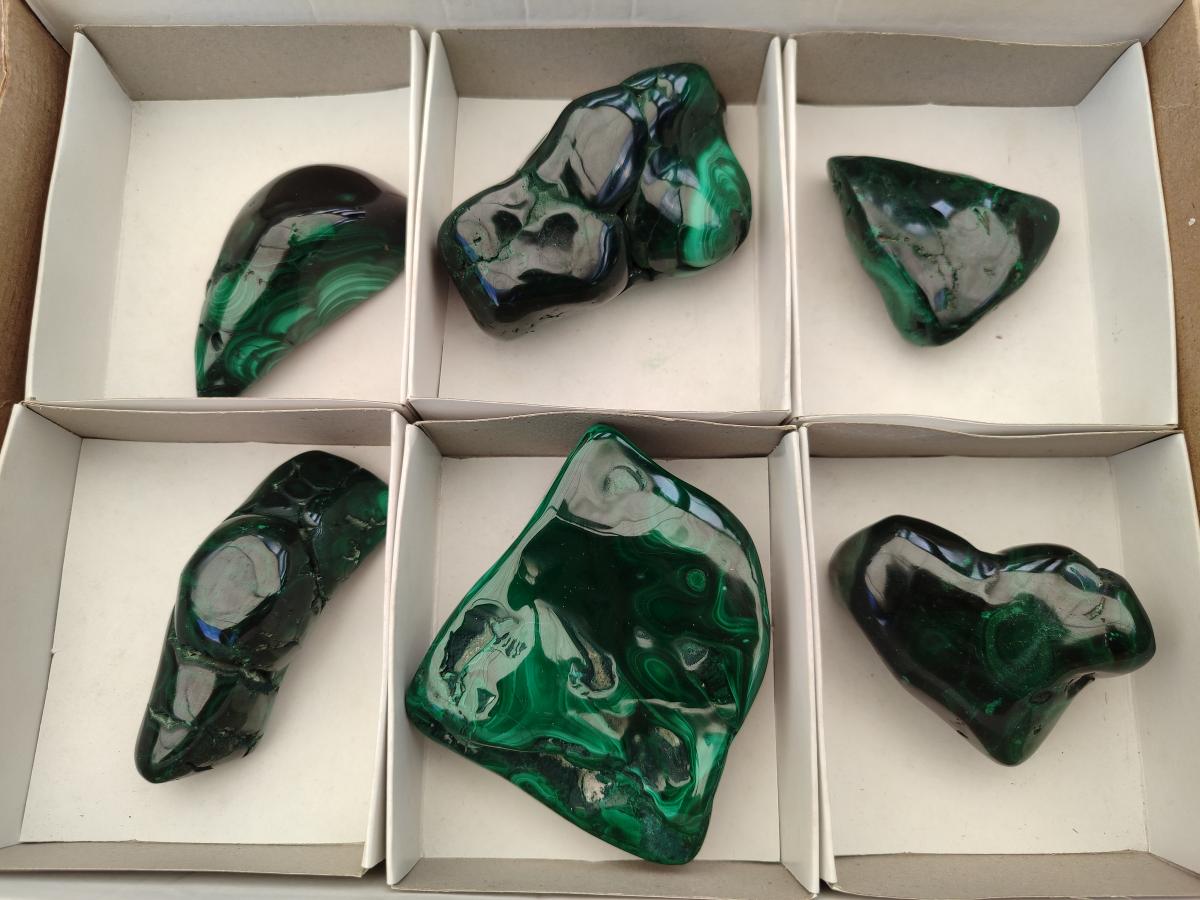 Polished Flower Banded Malachite Free Forms x 6 From Congo